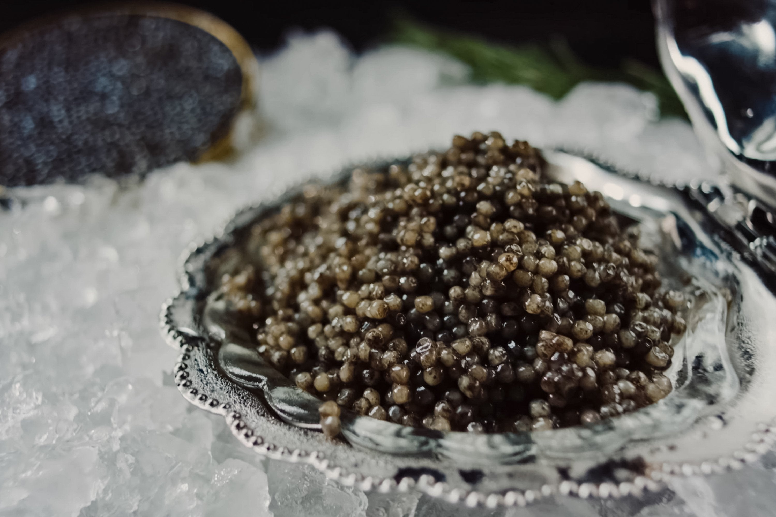 HOW TO BUY CAVIAR