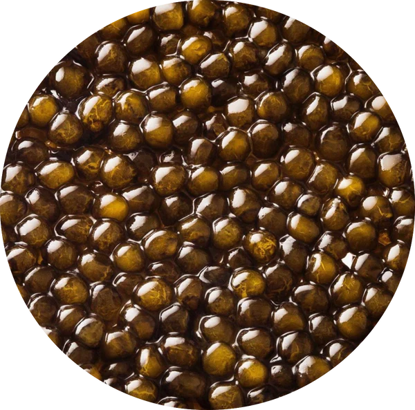 Discover High-Quality Caviar Online from a Trusted Source: Ikraa Caviar