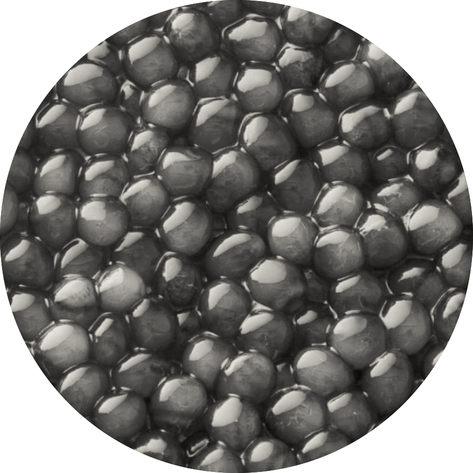 Beluga Hybrid Caviar