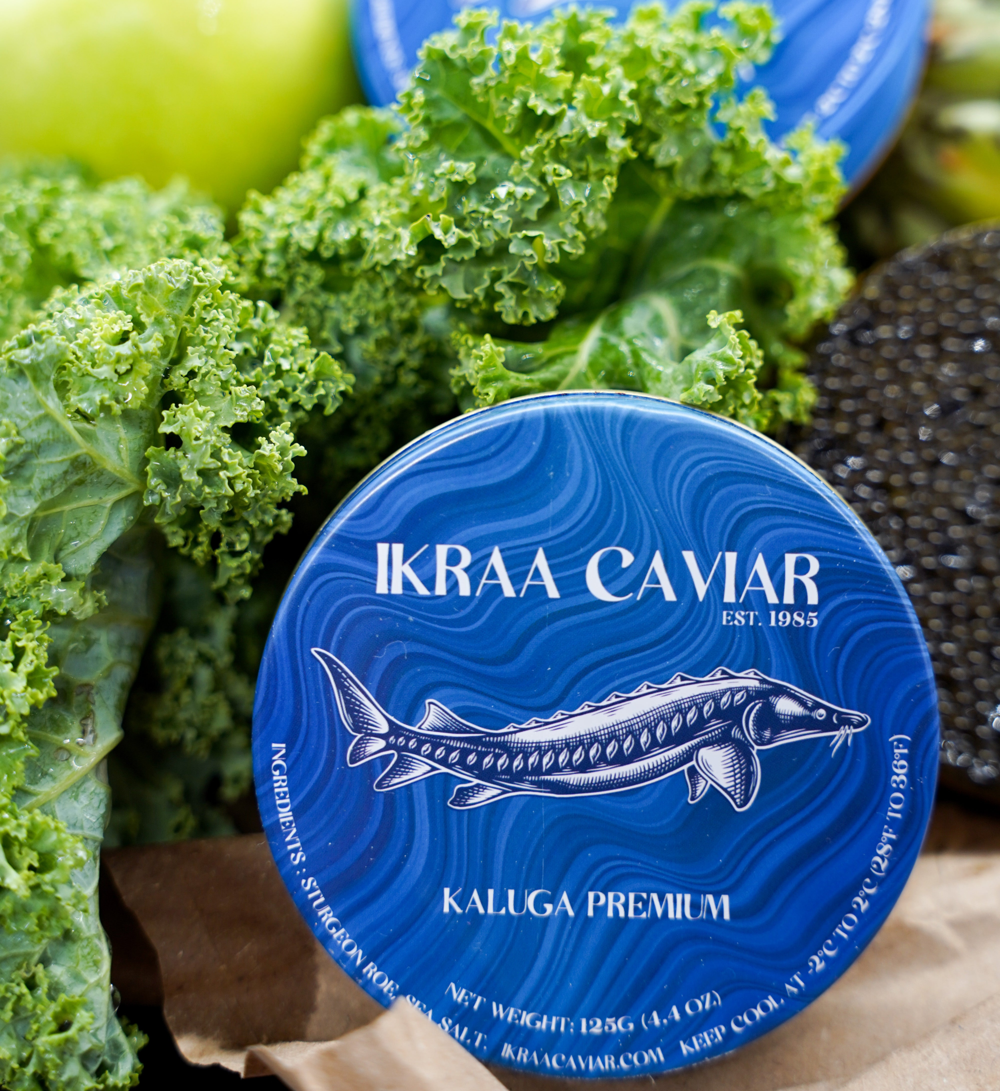Kaluga Premium Caviar