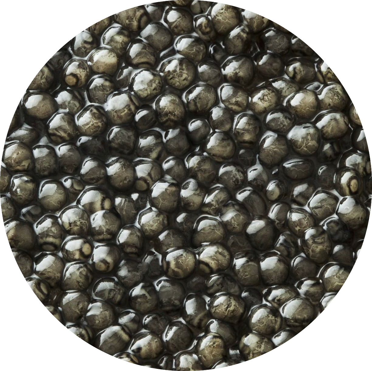 Kaluga Premium Caviar