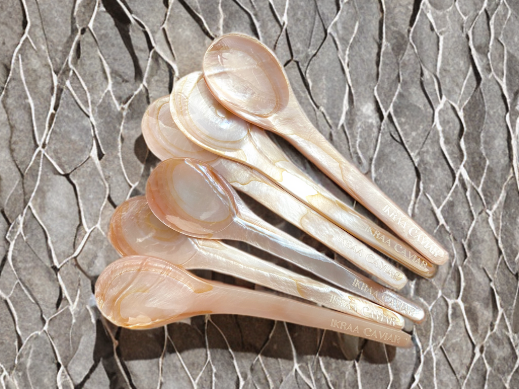Mother of Pearl Spoon Set of 6