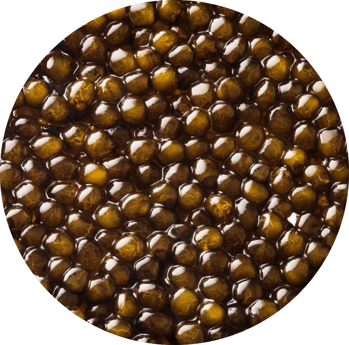 Imperial Osetra Caviar