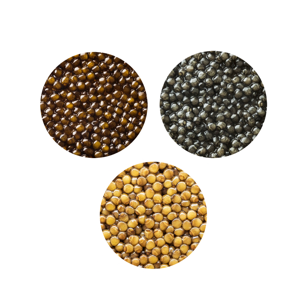 Caviar Tasting Sampler Trio